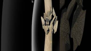 Common Types Of Bone Fracture Explained  3D animation [upl. by Christen]