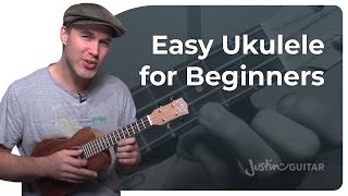 How to Play the Ukulele 4 Easy Chords amp Many Songs [upl. by Anohr]