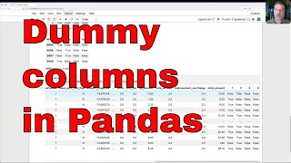 Working with dummies in Pandas [upl. by Nemlaz924]