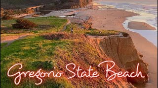 Let’s hike kakaaro San Gregorio State Beach California [upl. by Fae]