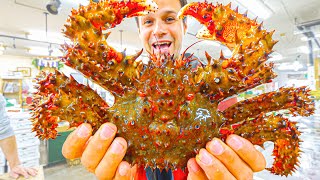 Most UNIQUE Street Food Japan  SPIKY Crab BREAKFAST  Seafood Tour of Sapporo Hokkaido Japan [upl. by Albemarle]