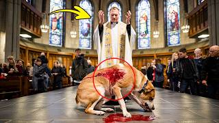 Verletzter Hund Betritt die Kirche Priester Ruft Sofort die Polizei aus Diesem Grund [upl. by Kingsly]