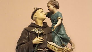 St Anthony Novena Live Stream [upl. by Galasyn]