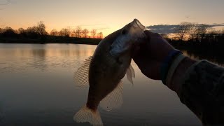 Crappie Fishing Catch Clean Cook [upl. by Surad]