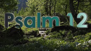 🏞️Psalm 12  Klage über die Macht der Bösen [upl. by Aliuqa]