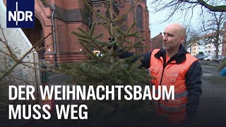 Weihnachtsbäume Viel Holz für die Müllwerker  Die Nordreportage  NDR Doku [upl. by Sophia]