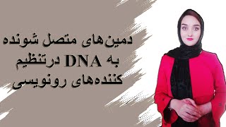 دمین های متصل شونده به DNA [upl. by Akemahs]