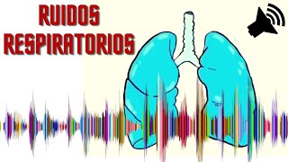 ♐ Crepitantes Sibilantes Roncus Estridor y Murmullo Vesicular Normal 🎓 Semiologia Respiratória [upl. by Petronille400]