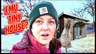 Unbelievable An Emu Tiny House Build [upl. by Chil]