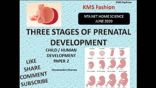 Prenatal development stages by Shwetambri Sharma [upl. by Tab]