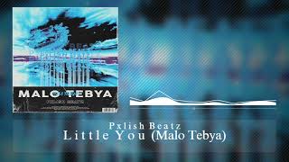 Pxlish Beatz  Little You Malo Tebya [upl. by Gnud]