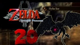 Lets Play The Legend of Zelda Twilight Princess Part 20  Wo sind die Käfer [upl. by Panther]