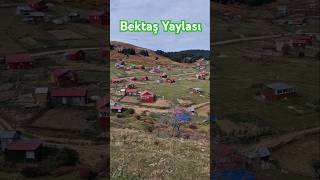 BEKTAŞ YAYLASI karadeniz giresun yaylalar karadenizturu yayla karadeniztürküleri travel ev [upl. by Strickler]