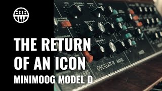 Minimoog Model D  The Return of an Icon  Thomann Synthesizers [upl. by Arrad9]