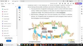 NUTRITIONREPRODUCTION of Paramecium [upl. by Aleacim]