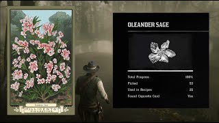 Oleander Sage location and Flora of America Card place RDR2 [upl. by Ahsyt393]