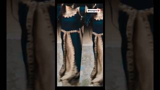 Bhangra Ta Sajda ❤️😍 shorts bhangra punjabi trending viralvideo dance explore like love [upl. by Haberman]