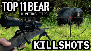 11 BEST BEAR HUNTING KILL SHOTS [upl. by Avenej]