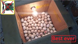 Beat idea to hatch eggs Without an temperature controller DIY HOW TO MAKE EGG INCUBATOR A HOME [upl. by Lletnuahs517]