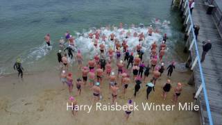 Winter Swimming Carnival  Brighton Baths Health Club 2017 [upl. by Marianna]