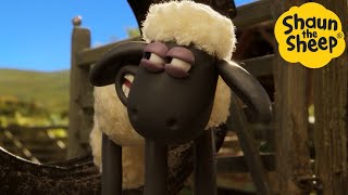 Shaun the Sheep 🐑 Farm Adventures  Cartoons for Kids 🐑 Full Episodes Compilation 1 hour [upl. by Earehc]