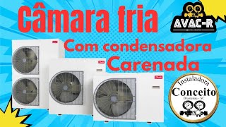 Condensadora Carenada componentes câmara fria [upl. by Nailij]