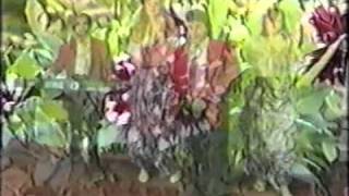 Sadik Uka TELEFONI CINGERROI official Video 1994 [upl. by Renee709]