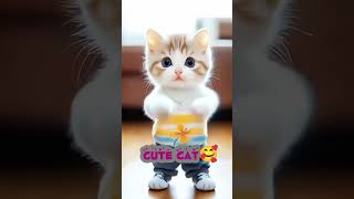 Cute Cat Funny Dance🥰🎉💓shorts [upl. by Ahseinar]