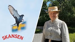 Skansen berättar – Varför firar vi Sveriges nationaldag den 6 juni [upl. by Gerhardt]