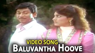 Aakasmika–Kannada Movie Songs  Baaluvantha Hoove Video Song  Rajkumar  VEGA [upl. by Bradney]