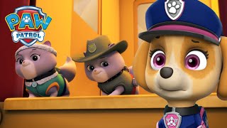 Misja ratunkowa pieski ratują królewskie kocięta  Psi Patrol PAW Patrol po polsku [upl. by Iel]