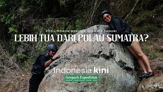 INDONESIA KINI  Fosil Pohon Purba di Geopark Merangin Jambi Usianya Lebih Tua dari Pulau Sumatra [upl. by Hares]