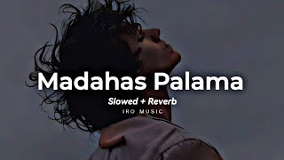 මදහස් පාලම Madahas Palama  Slowed  Reverb [upl. by Nerrawed]