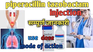 piperacillin tazobactam injection uses in Hindi  tazar injection use side effects dose [upl. by Rramed813]