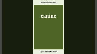 canine How to Say or Pronounce CANINE in American British English Pronunciation [upl. by Leahkim]