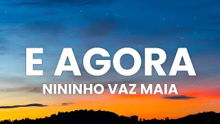 Nininho Vaz Maia  E Agora 𝐋𝐞𝐭𝐫𝐚𝐋𝐲𝐫𝐢𝐜𝐬 [upl. by Nonna448]