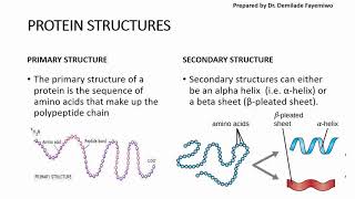 Chapter 23 Biological Molecules  Proteins [upl. by Aislehc710]