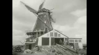 Houtzaagmolen De Herder te Leiden 1942 [upl. by Aeresed]