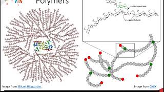 Carbohydrates Part 4 of 5  Disaccharides Oligosaccharides and Polysaccharides [upl. by Giselle]