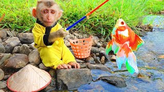 Bin Monkey go fishing for goldfish and grill to feed the cats so funny and cute [upl. by Jobie]