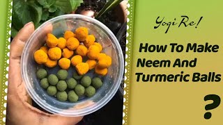 How to make Neem and Turmeric balls quickly [upl. by Nolham]