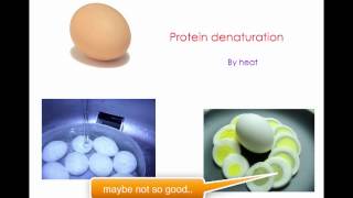 protein digestion and denaturation [upl. by Faustine]