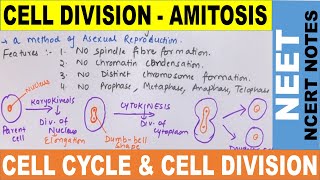 Amitosis Cell Division in Hindi  Direct Cell Division  Cell Cycle amp Cell Division  NEET 2020 [upl. by Whitson505]