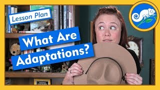 What Are Adaptations  Lesson Plan [upl. by Sollie]