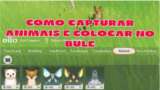 Genshin impact  Como capturar animais e colocar no bule como item decorativo [upl. by Isolt]