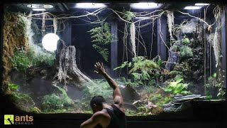 Saying Goodbye to Some Beloved Animals in My Giant Rainforest Vivarium [upl. by Eioj]