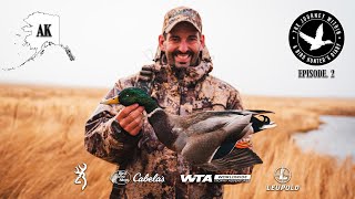 Mallards Bufflehead amp Goldeneye in Cold Bay Alaska  The Journey Within  Waterfowl Slam [upl. by Yasnil494]