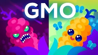 Are GMOs Good or Bad Genetic Engineering amp Our Food [upl. by Esilegna2]