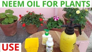 How to use neem oil in garden [upl. by Haya]