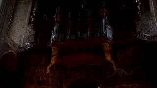 Orchestral flue stops of Albi cathedral organ [upl. by Notniv]